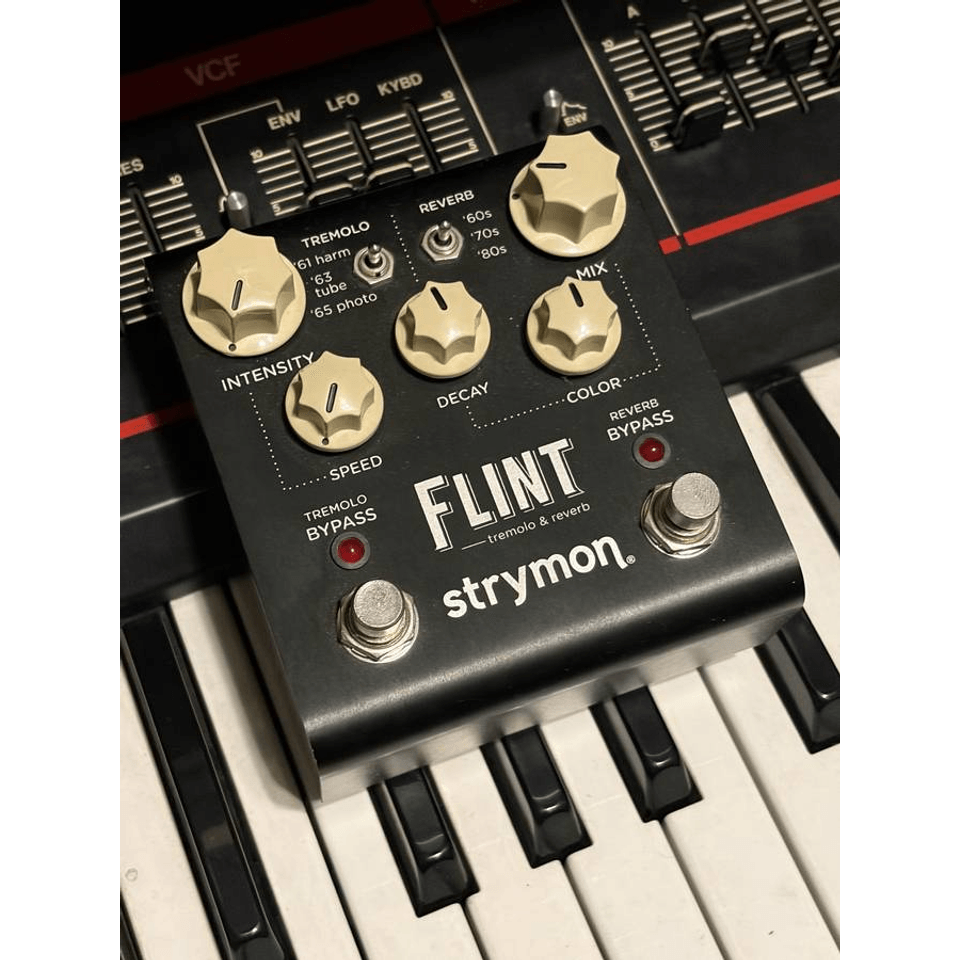 Strymon Flint v1
