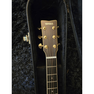 Yamaha LS16M A.R.E. with hardshell case image 3