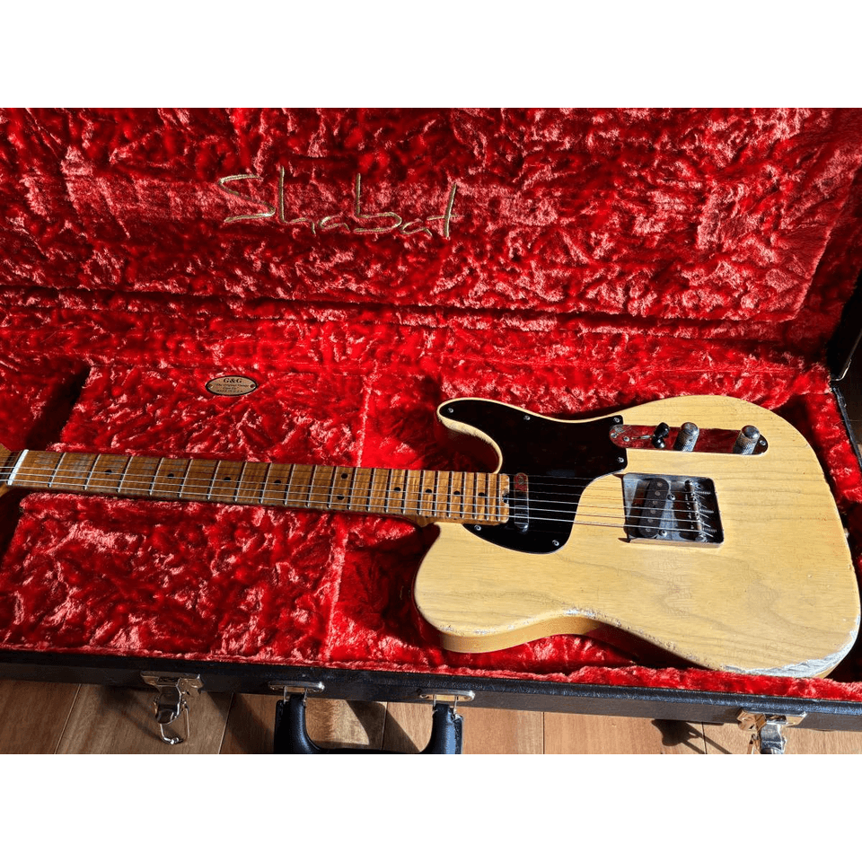 Shabat Lion Custom – Butterscotch Blonde (6.7 lbs!)