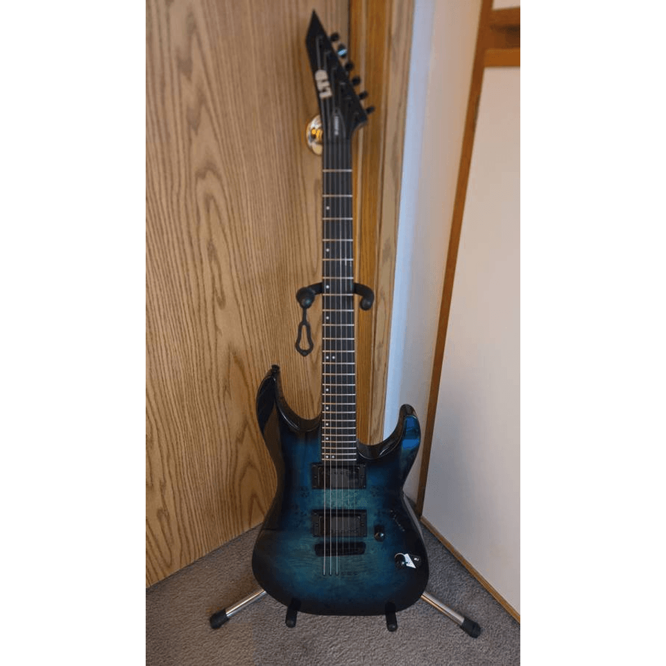 ESP LTD M-200DX NT Guitar (Open to Electric Guitar Trades)