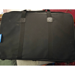 FS/FT: PedalTrain Novo 24 with softcase, Cioks Ciokolate power supply image 3