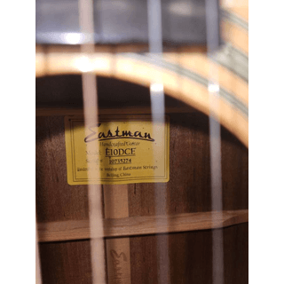 Rare Eastman Cutaway Electric E10DCE (Trade?) image 2