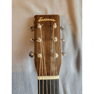 Rare Eastman Cutaway Electric E10DCE (Trade?) image 4