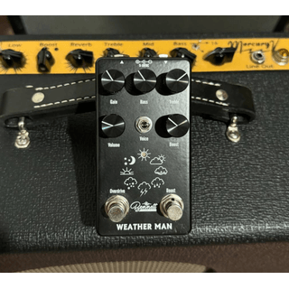 Pedals and 1x12 image 2