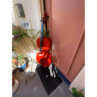 4/4 cello pretty Red image 3