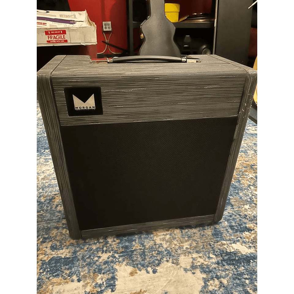 Morgan MVP 23 Combo Amp