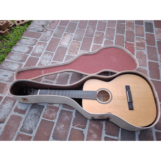 Silvertone Classic Guitar with Hard Case image 4