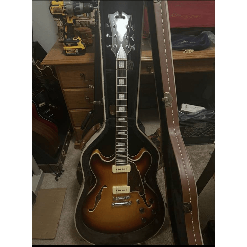 ES 335 Style Guitar