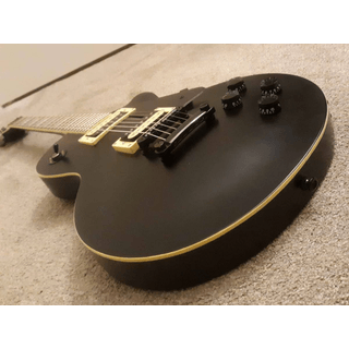 Custom Agile LP w/upgrades image 4