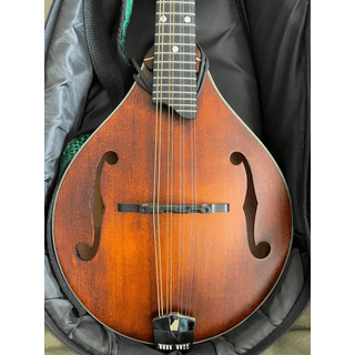 Eastman MD305 A-Style Mandolin FS/FT image 2